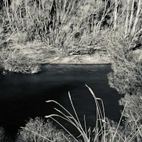 a black and white photo of a river