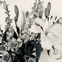 a black and white photo of flowers in a vase