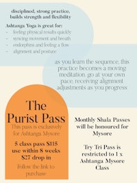 a poster for the purist pass