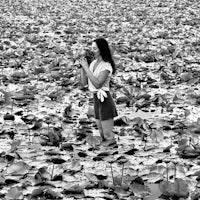 a woman standing in the middle of a lotus pond